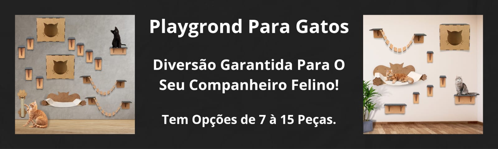 Playground Gatos